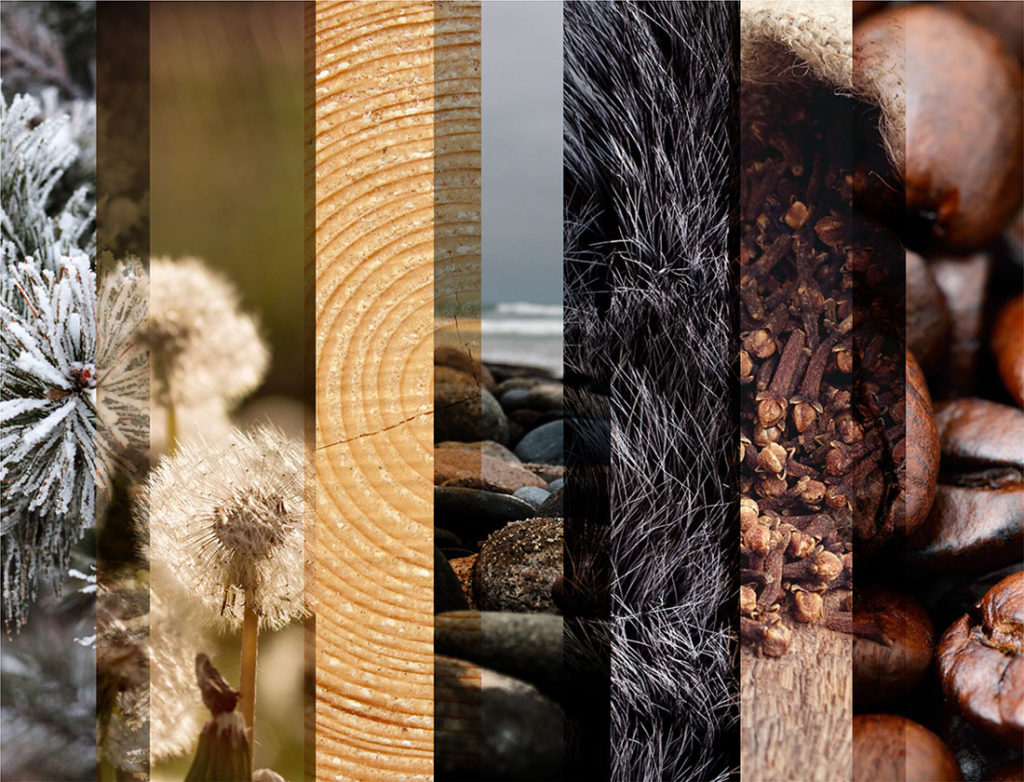 View Woodmont Cabinetry colors